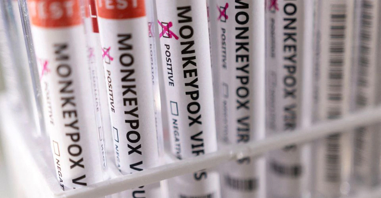 Monkeypox presents moderate risk to public health, WHO says