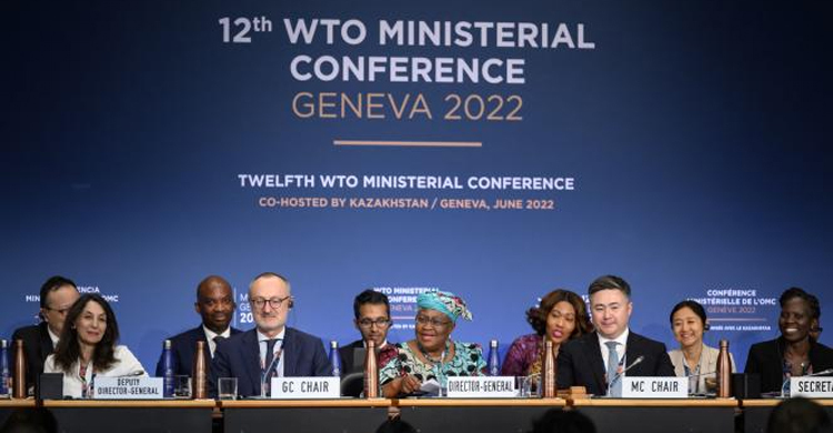 WTO agrees fishing, food and Covid vaccine deals