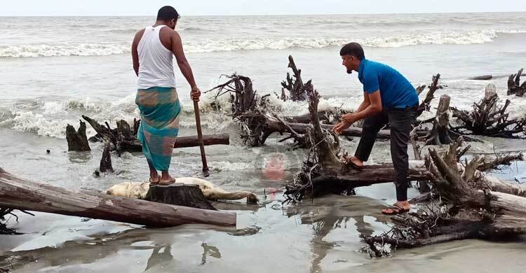 কুয়াকাটায় ভেসে এলো.. | বৃহস্পতিবার, ৩০ জুন ২০২২