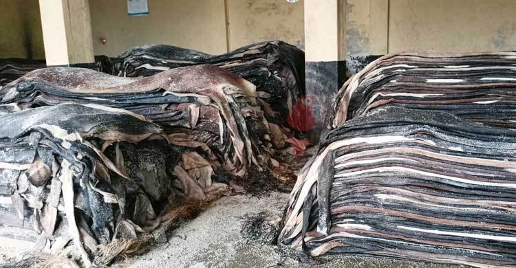 কাঁচা চামড়ার আড়ত গড়ে উঠেছে হেমায়েতপুরে