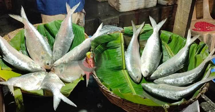 আকাশছোঁয়া দামে সাধ্যের বাইরে ইলিশ | মঙ্গলবার, ০৯ আগস্ট ২০২২