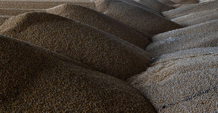 Turkey says four more grain ships leave Ukrainian ports