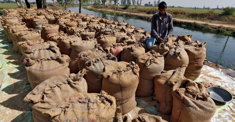 India restricts rice exports, could fuel food inflation