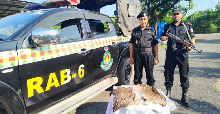 সাতক্ষীরায় দুই হরিণের চামড়া উদ্ধার