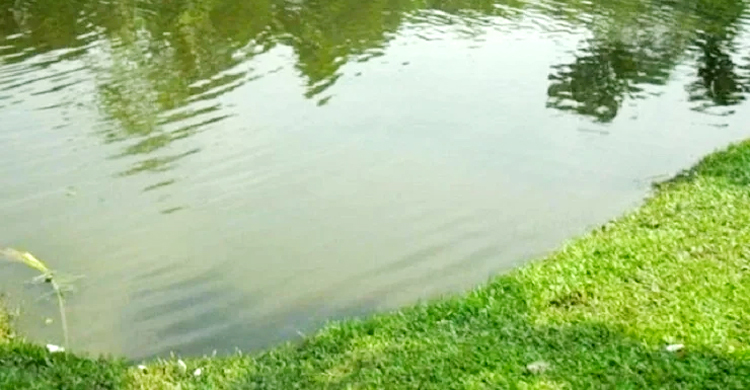 নানাবাড়ি বেড়াতে গিয়ে লাশ হলো দোলা