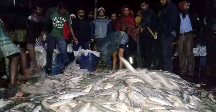 ২০ মণ জাটকা বহন করে জরিমানা গুনলেন দুই ট্রাকচালক