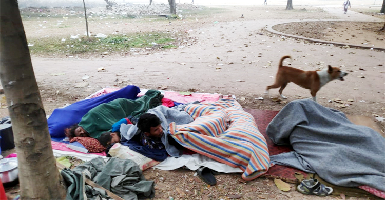 একই বিছানায় মানুষ ও কুকুরের ‘সুখনিদ্রা’