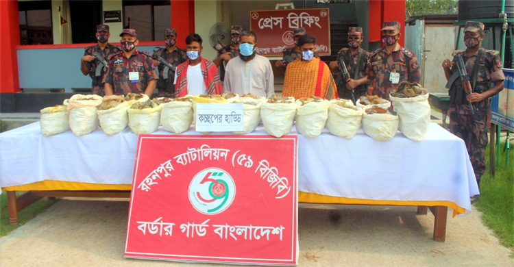 সীমান্তে দেড় কোটি টাকার ভারতীয় কচ্ছপের হাড় উদ্ধার, গ্রেফতার ৩