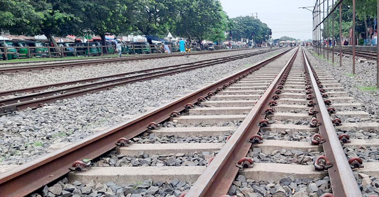 গরু বাঁচাতে গিয়ে ট্রেনে কাটা পড়ে প্রাণ গেলো বৃদ্ধের