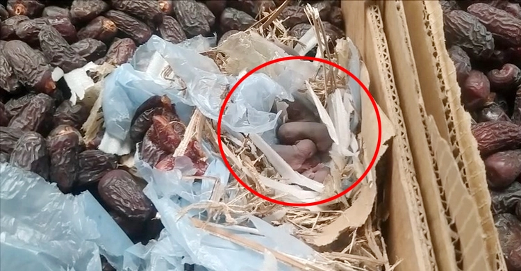 মুন্সিগঞ্জে ৮ টন খাবার অযোগ্য খেজুর জব্দ, ৩ লাখ জরিমানা | ২১ এপ্রিল ২০২১