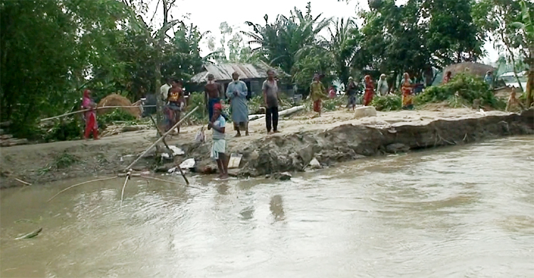 গাইবান্ধায় কমছে বন্যার পানি, নদীতে বিলীন হচ্ছে ঘরবাড়ি