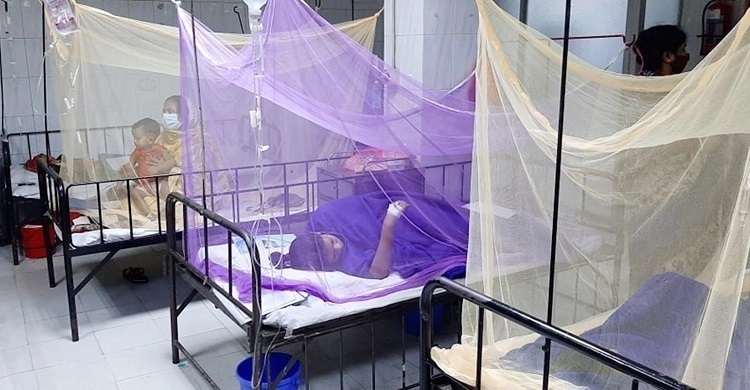 201 more hospitalized with dengue fever in 24 hrs