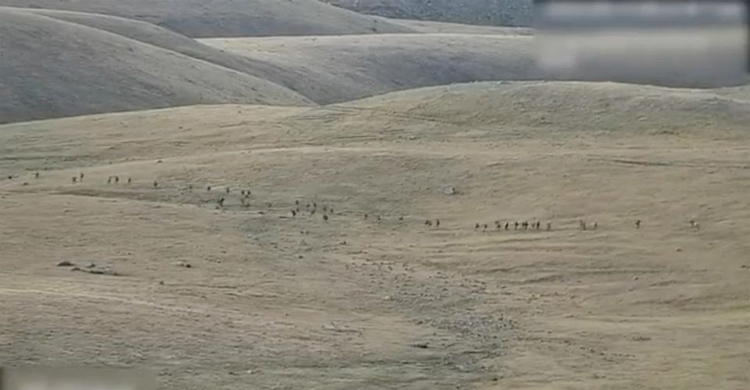 Putin calls for calm as Azerbaijan and Armenia clash in worst fighting since 2020