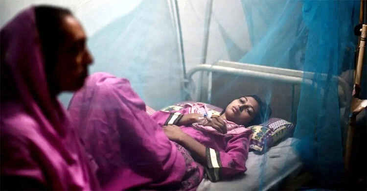 Two dengue patients die, 922 hospitalized in 24 hrs