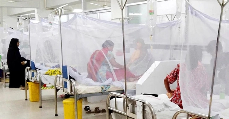 Six dengue patients die; 869 hospitalized in 24 hrs