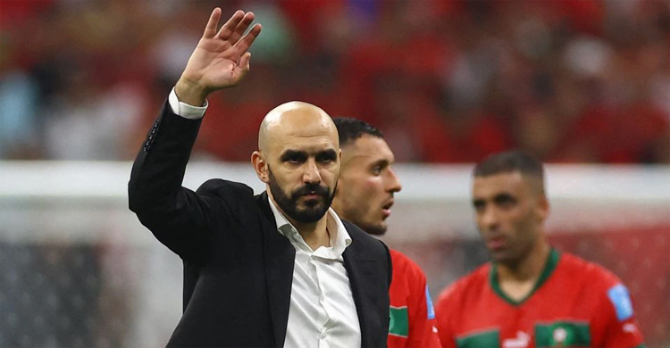 Semi defeat doesn't wipe out success, says Regragui