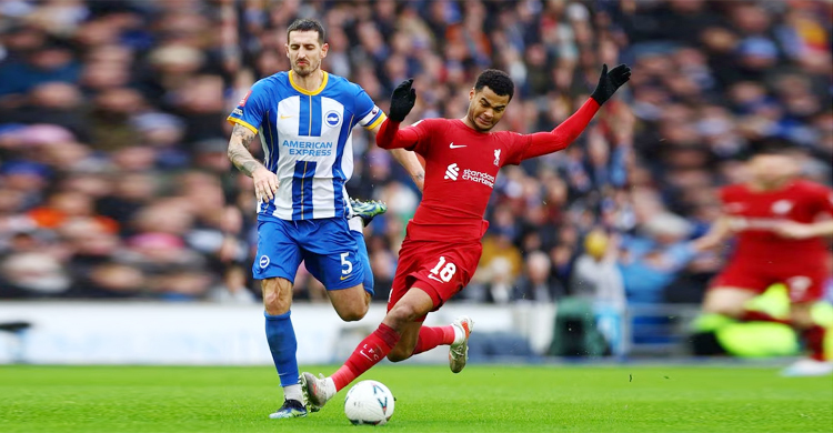 Gakpo off the mark as Liverpool down Everton 2-0