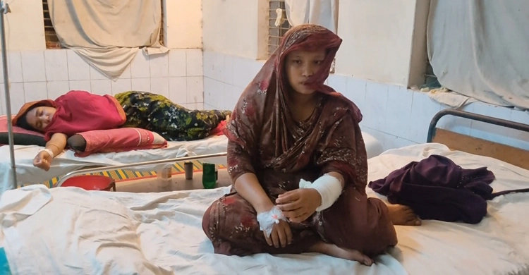 38 injured in Faridpur dog bites