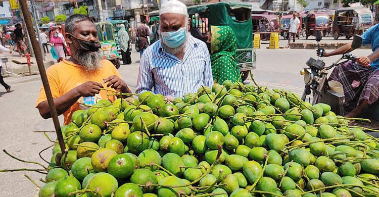 আগেভাগেই বাজারে মিলছে গোপালভোগ