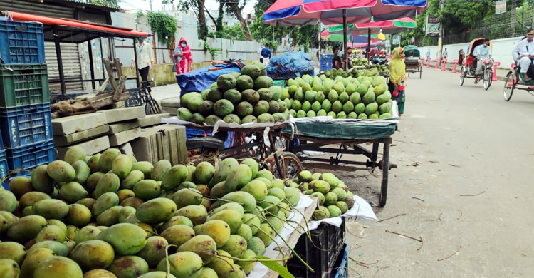 ‘বেলা বাজে ১২টা, এখনও বিসমিল্লাহ করতে পারি নাই’