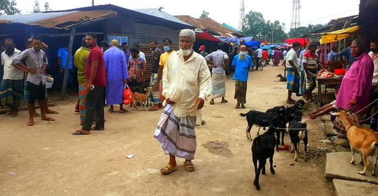 কঠোর লকডাউনেও ছাগলের হাট!