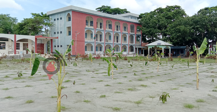 জমি দখল নিতে স্কুল মাঠে লাগানো হলো কলা গাছ