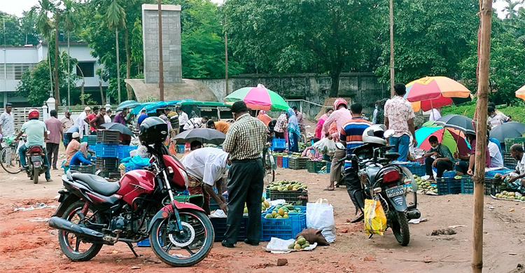 ঠাকুরগাঁওয়ে ৫ম দিনে ঢিলেঢালাভাবে চলছে কঠোর বিধিনিষেধ