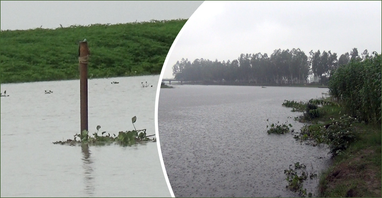 গাইবান্ধার নিম্নাঞ্চল প্লাবিত, ১০ জুলাইয়ের মধ্যে বন্যার আশঙ্কা