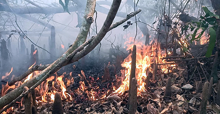 অবশেষে নিভেছে সুন্দরবনের আগুন