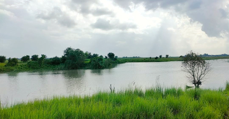 ফরিদপুরের সালাম খাঁর ডাঙ্গী গ্রামে ‘কুমির আতঙ্ক’