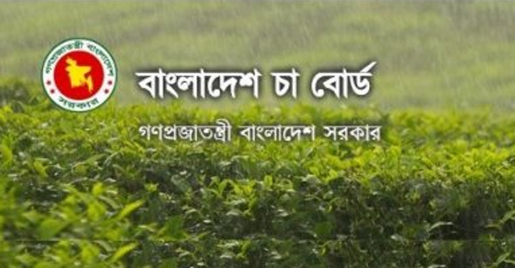 চা বোর্ডে নতুন চেয়ারম্যান, রাষ্ট্রদূত হলেন মেজর জেনারেল হাসনাত