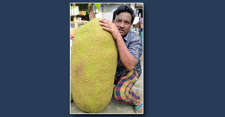 ৬০ কেজির কাঁঠালটি ১৩০০ টাকায় বিক্রি