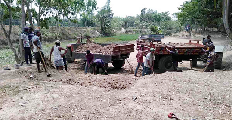 নদীর পাড়ের মাটি যাচ্ছে ইটভাটায়