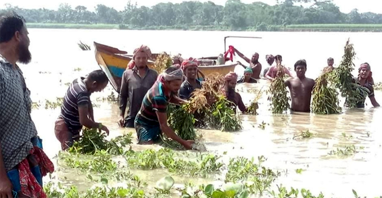 বানের পানিতে ভাসছে বাদামচাষিদের স্বপ্ন