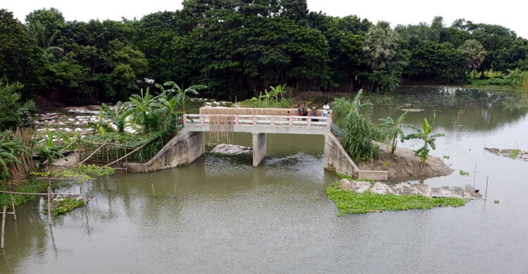 ব্রিজ আছে সড়ক নেই, বিপাকে ফরিদপুরের ১৩ গ্রামের মানুষ