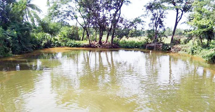 সিরাজগঞ্জে পানিতে ডুবে প্রাণ গেল দুই শিশুর