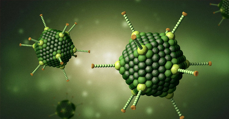 কলকাতায় অ্যাডিনোভাইরাসে আরেক শিশুর মৃত্যু, বাড়ছে আতঙ্ক