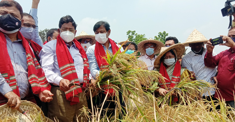 বাংলাদেশ আজ খাদ্যে স্বয়ংসম্পূর্ণ : কৃষিমন্ত্রী