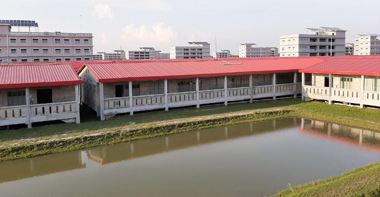 হাসপাতাল থেকে পালানো রোহিঙ্গা নারীর খোঁজ মিলেছে