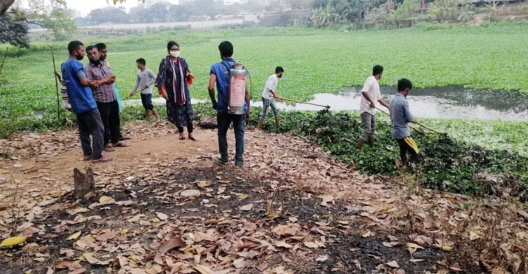 মশা নিধনে ভাটারায় ডিএনসিসির অভিযান