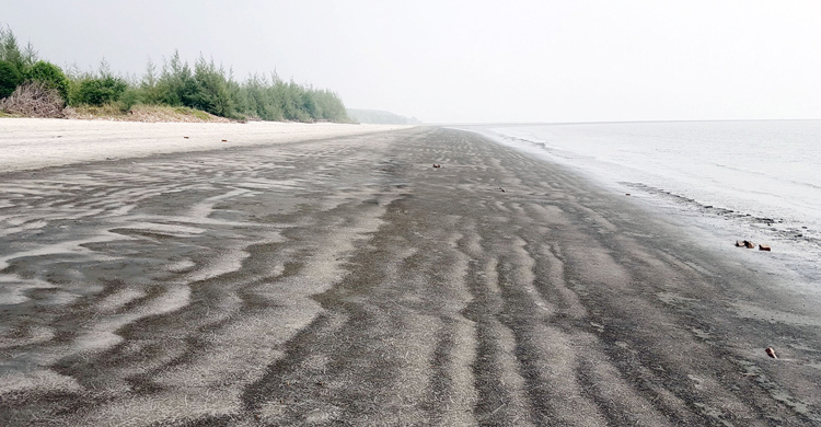 সৈকতের বালুচরে মানুষের কঙ্কাল