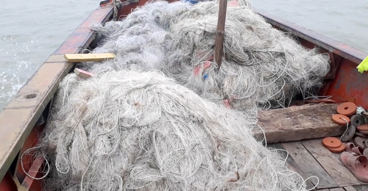 ইলিশ অভয়াশ্রমে মাছ ধরার অপরাধে ১৯ জনের জেল-জরিমানা