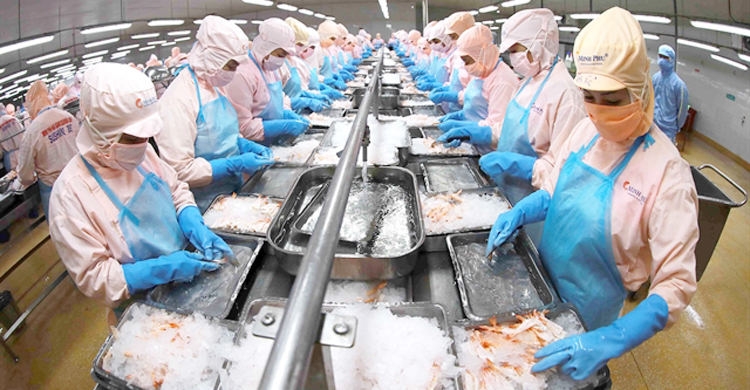 বছরের শেষভাগে রপ্তানি বাড়ানোর চেষ্টায় ভিয়েতনাম, টার্গেট ইউরোপ