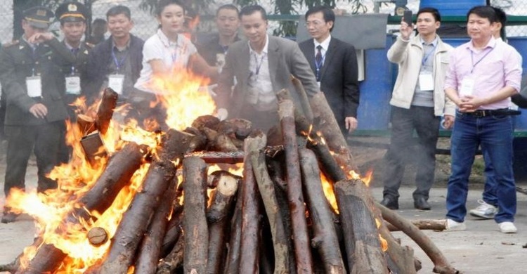 Vietnam bans wildlife trade to curb risk of pandemics