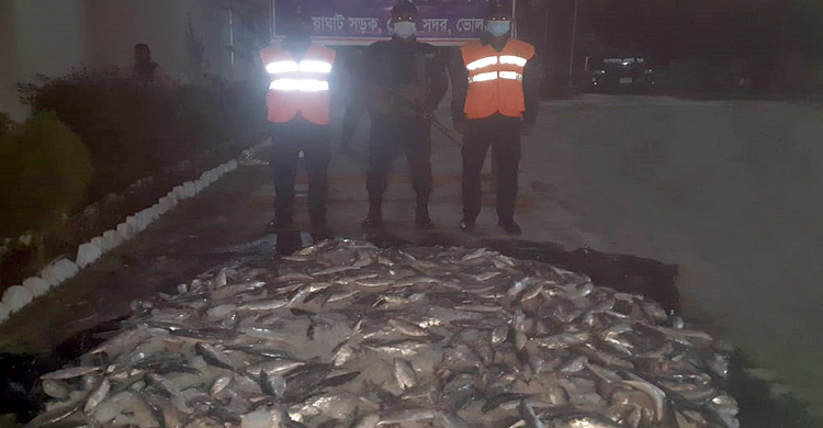 ভোলায় ১০ মণ জাটকা জব্দ