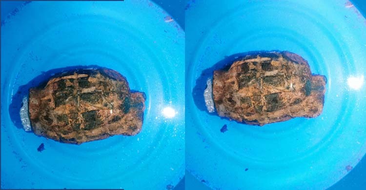 ফুলবাড়ীতে ‘১৯৬৬ সাল’ লেখা গ্রেনেড উদ্ধার