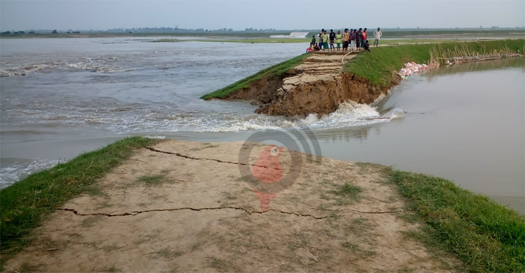 চন্দ্রসোনার তাল হাওরের বাঁধ ভেঙে কয়েক হাজার কৃষকের সর্বনাশ
