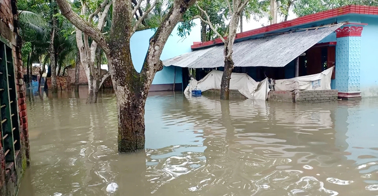 টানা বর্ষণে তলিয়ে আছে সাতক্ষীরার নিম্নাঞ্চল