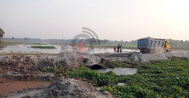 পানিতে ভাসছে ফরিদপুরের ‘পেঁয়াজের রাজ্য’
