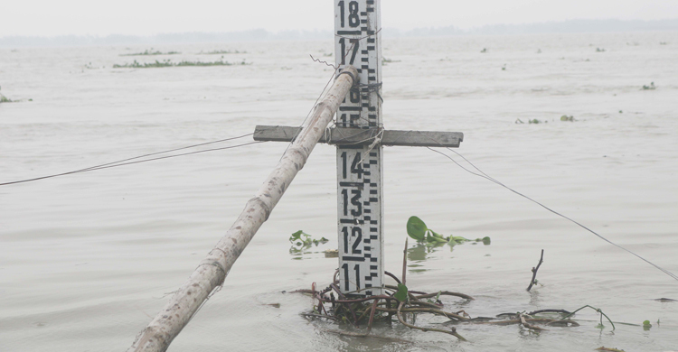 সিরাজগঞ্জে আবারও বিপৎসীমার উপরে যমুনা